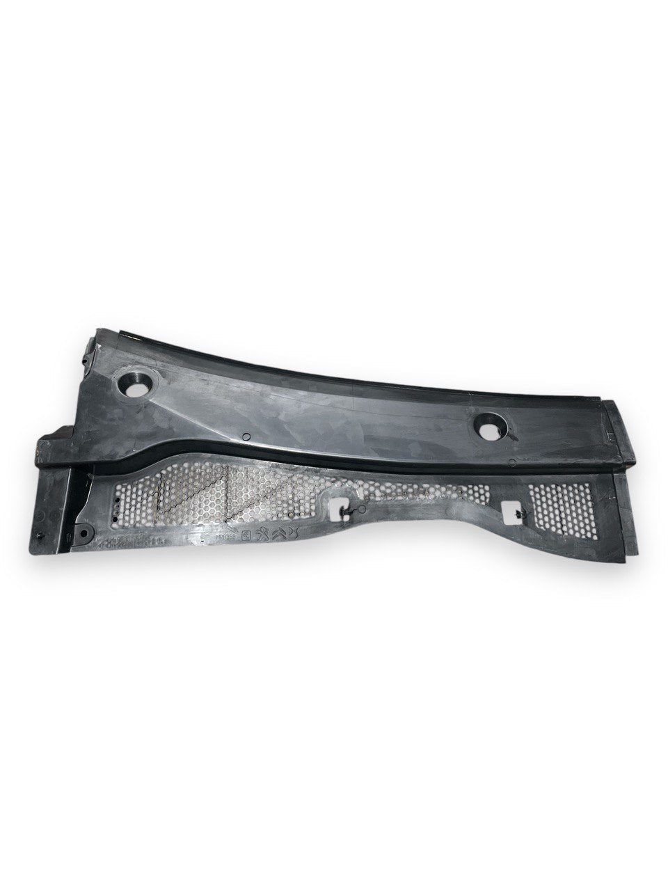 Gocciolatoio Parabrezza Anteriore Peugeot 2008 II cod:9820794580 (2019 > ) - F&P CRASH SRLS - Ricambi Usati