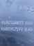 Gocciolatoio Parabrezza Anteriore Peugeot Partner cod:9680568877 (2008 - 2016) - F&P CRASH SRLS - Ricambi Usati