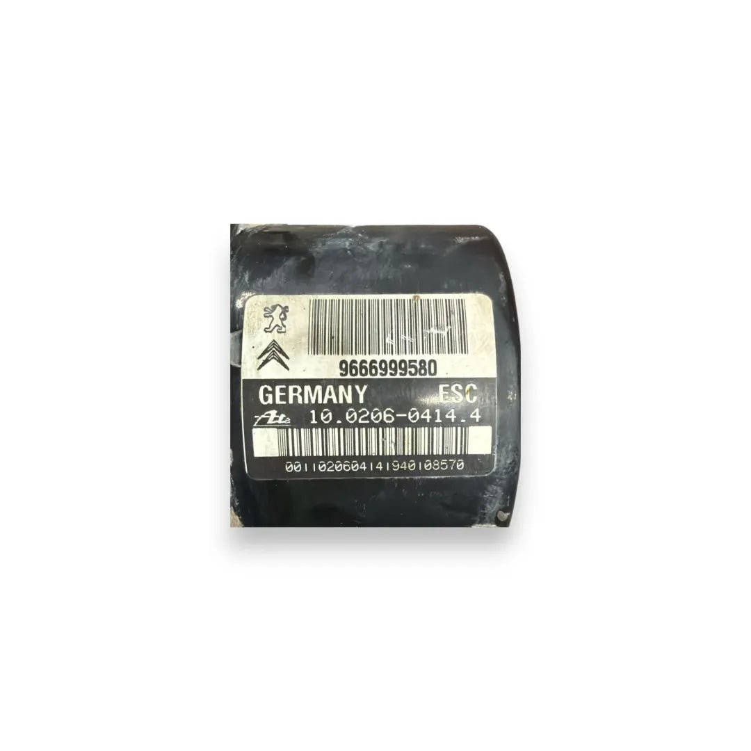 Dettaglio Gruppo ABS completo con pompa e centralina Citroën C3 2ª Serie 2009–2013 OEM 4541TW - foto 3