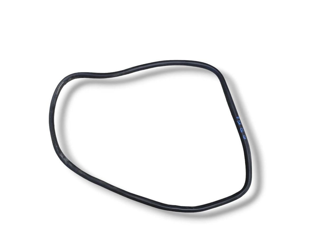 Guarnizione Portiera Posteriore Sinistra Citroen C4 Grand Picasso (2013 - 2022) - F&P CRASH SRLS - Ricambi Usati