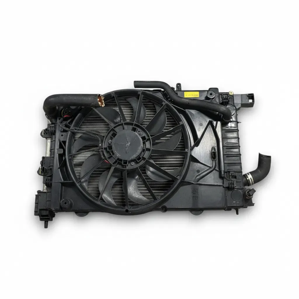 Radiatore Chevrolet Aveo dal 2011 OEM 95460091