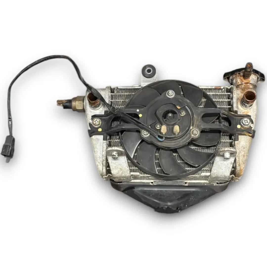 Radiatore Suzuki UX Sixteen 125 OEM 1770020H02000