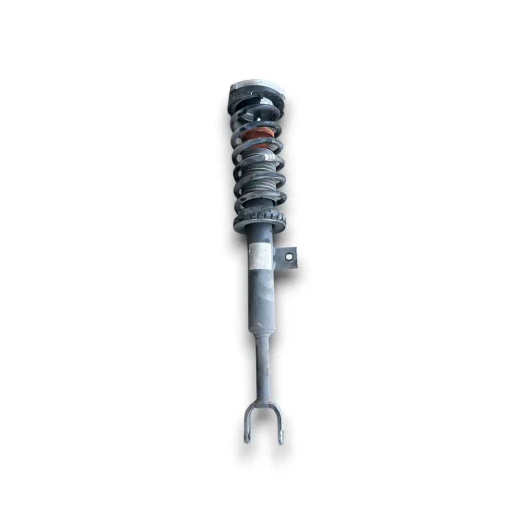 Ammortizzatore anteriore sinistro BMW Serie 5 F10 OEM 31316863661