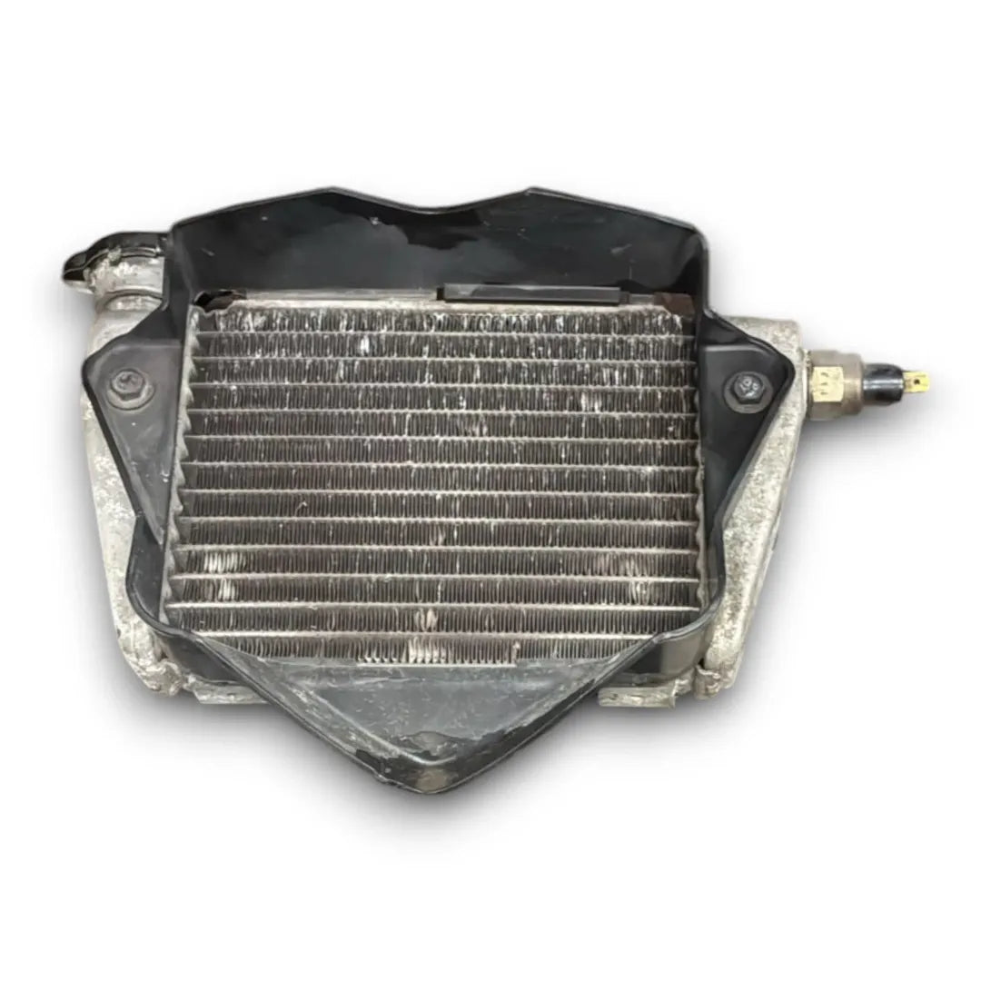 Dettaglio Radiatore Suzuki UX Sixteen 125 OEM 1770020H02000 - foto 2