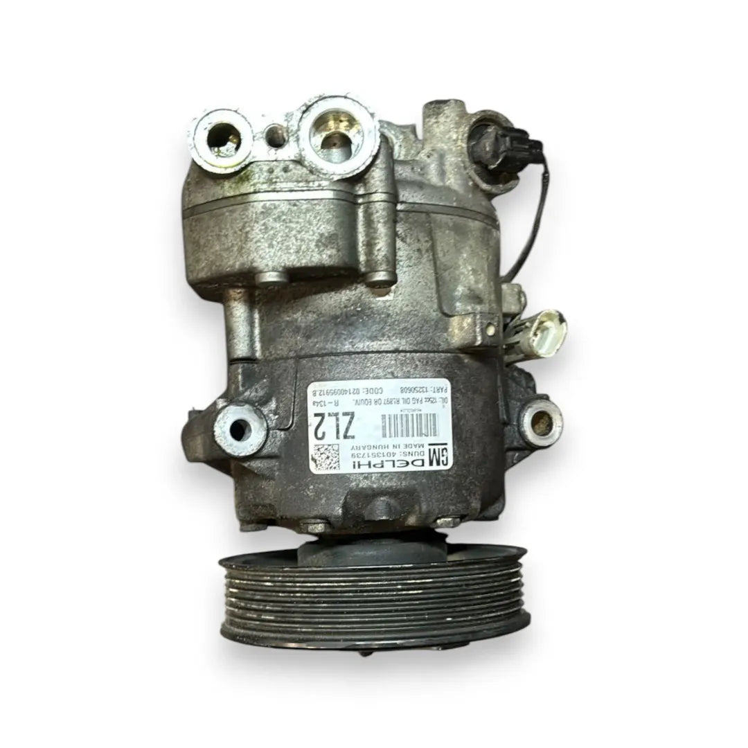 Dettaglio Compressore clima Opel Meriva S10 OEM 95518880 - foto 2