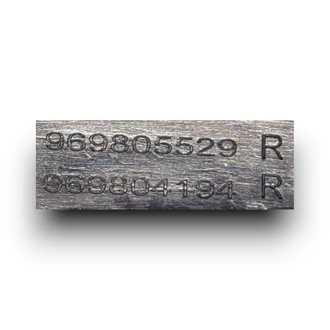 Dettaglio Plafoniera anteriore di cortesia Renault Clio 5ª Serie 2019–2024 OEM 969805529R - foto 3