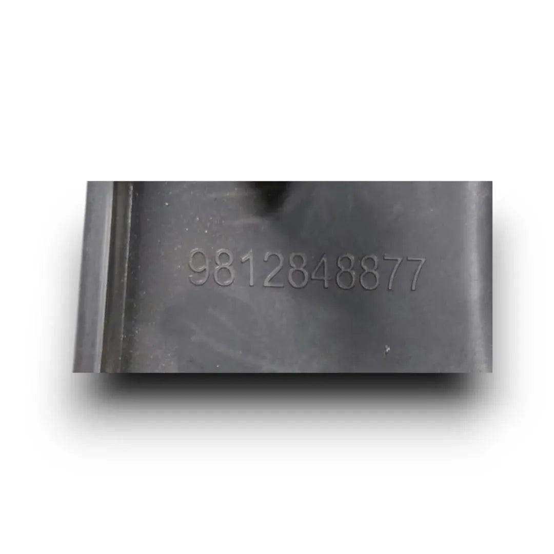 Dettaglio Pannello comandi retrovisori e assistenza alla guida Citroën C3 3ª Serie cod. 9812848877 - foto 3