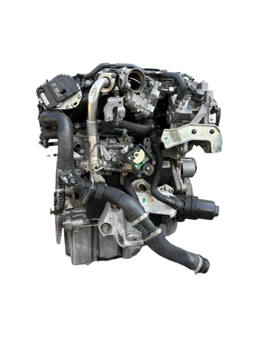 Dettaglio Motore completo Alfa Romeo Giulia 6S - foto 4