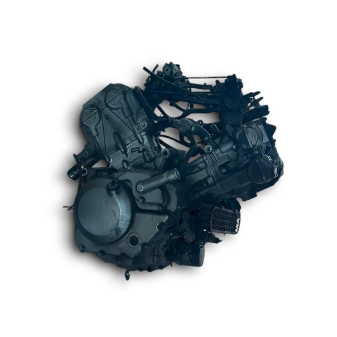 Dettaglio Motore completo Suzuki DL 650 V-Strom 2008–2011 cod. motore P509 - foto 2