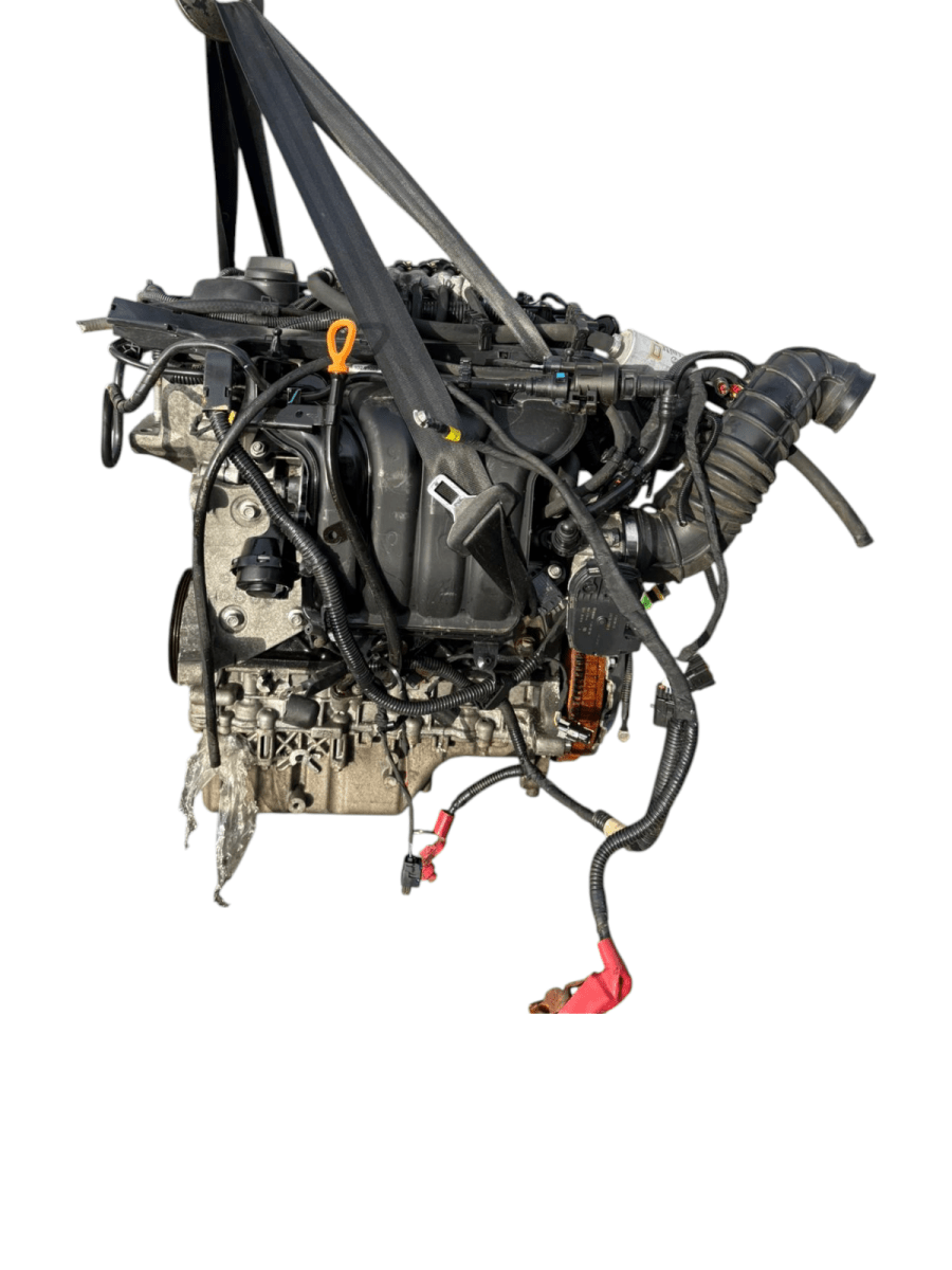 Motore DR 5.0 ( 2023 ) 1.5 Benzina GPL 84kw 114cv cod : SQRE4G15C - F&P CRASH SRL - Ricambi Usati