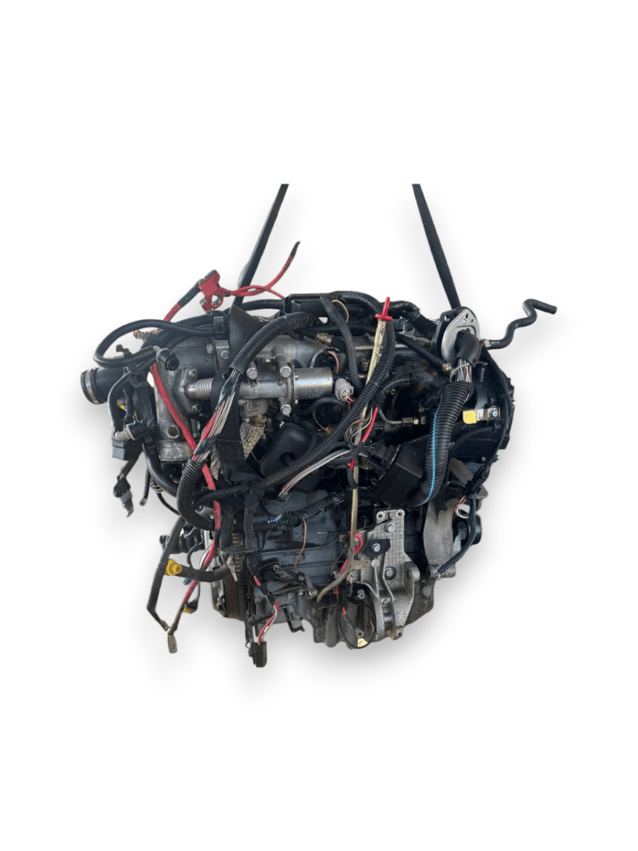 Motore Fiat Punto ( 2004 ) 1.9 Diesel 59kw 80cv cod : 188A2000 - F&P CRASH SRLS - Ricambi Usati