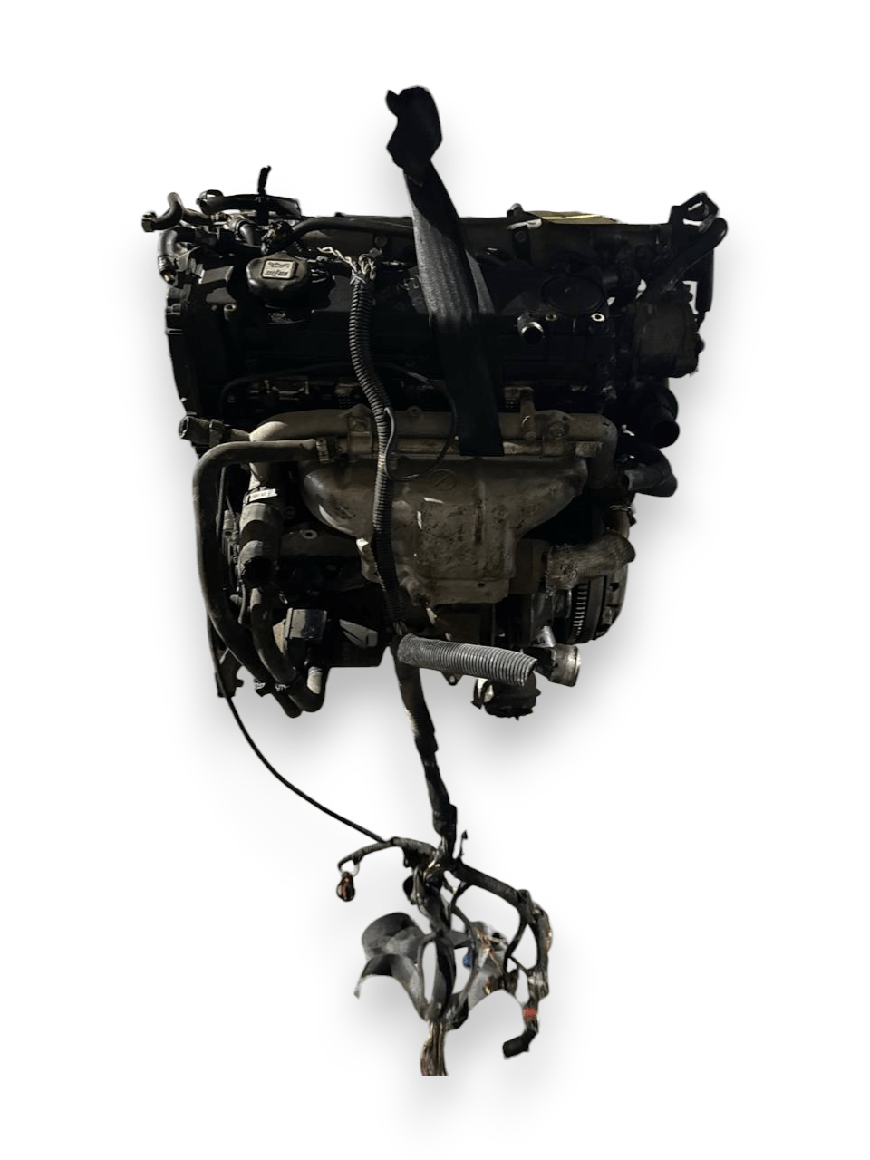 Motore Fiat Stilo ( 2006 ) 1.9 Diesel 84kw 115cv cod : 192A1000 - F&P CRASH SRLS - Ricambi Usati