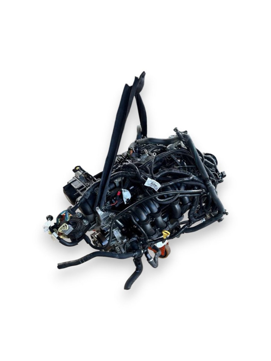 Motore Ford C - Max ( 2014 ) 1.6 Benzina GPL 88kw 120cv cod : MUDD - F&P CRASH SRLS - Ricambi Usati