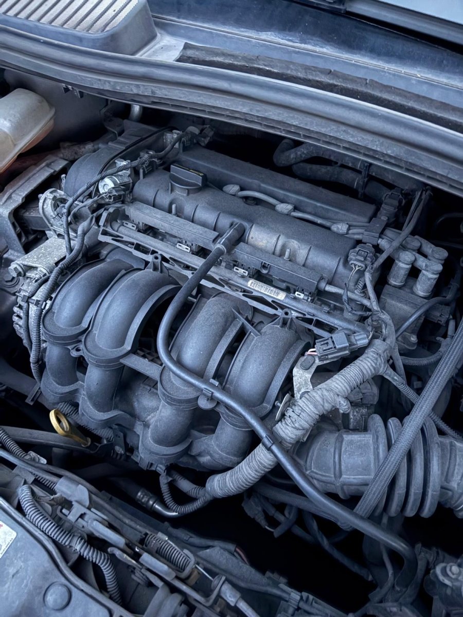 Motore Ford C - max (2015) 1.6 Diesel 77kw 105 cv cod: IQDB - F&P CRASH SRL - Ricambi Usati