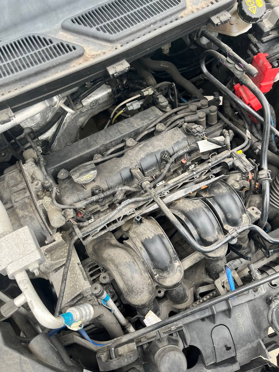 Motore Ford Ecosport ( 2018 ) 1.5 Benzina 82kw 110cv cod : UEJB - F&P CRASH SRLS - Ricambi Usati