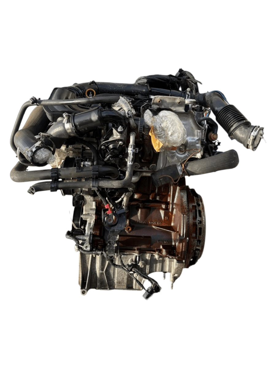 Motore Ford Fiesta VII 1.0 Benzina 73kw 100cv (2021) cod: SFJN - F&P CRASH SRL - Ricambi Usati