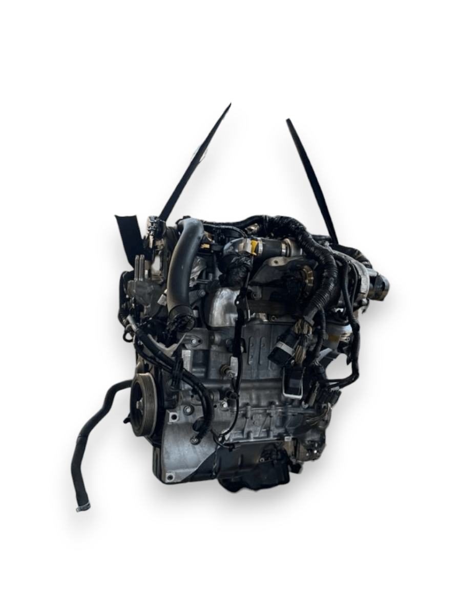 Motore Ford Focus ( 2018 ) 1.5 Diesel 70kw 95cv cod : XXDC - F&P CRASH SRLS - Ricambi Usati