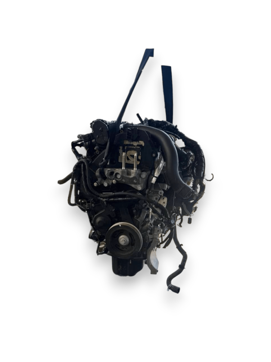 Motore Ford Focus ( 2018 ) 1.5 Diesel 70kw 95cv cod : XXDC - F&P CRASH SRLS - Ricambi Usati