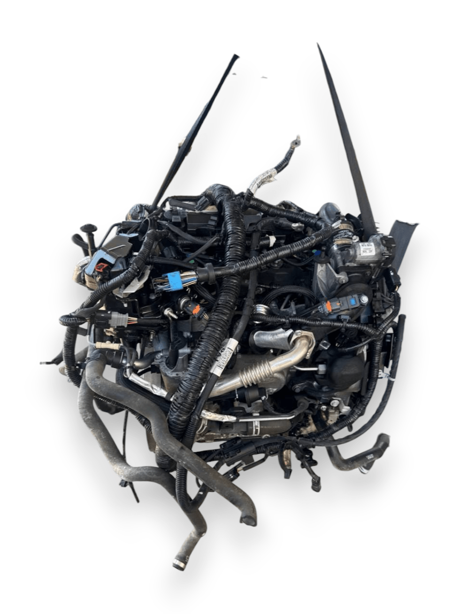 Motore Ford Focus ( 2018 ) 1.5 Diesel 70kw 95cv cod : XXDC - F&P CRASH SRLS - Ricambi Usati