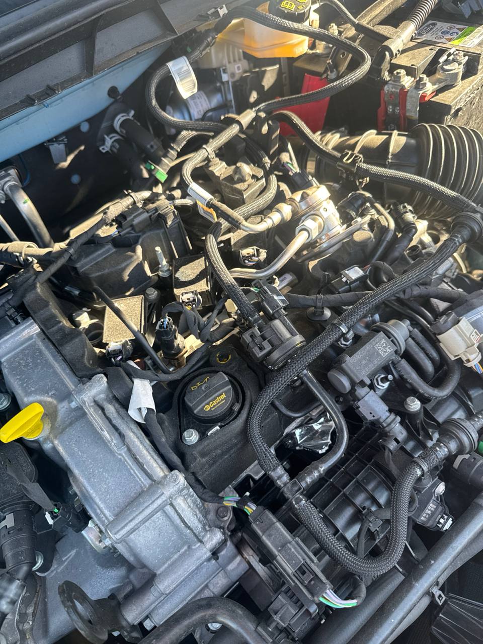 Motore Ford Focus ( 2024 ) 1.0 Benzina 92kw 125cv cod : B7DA - F&P CRASH SRLS - Ricambi Usati