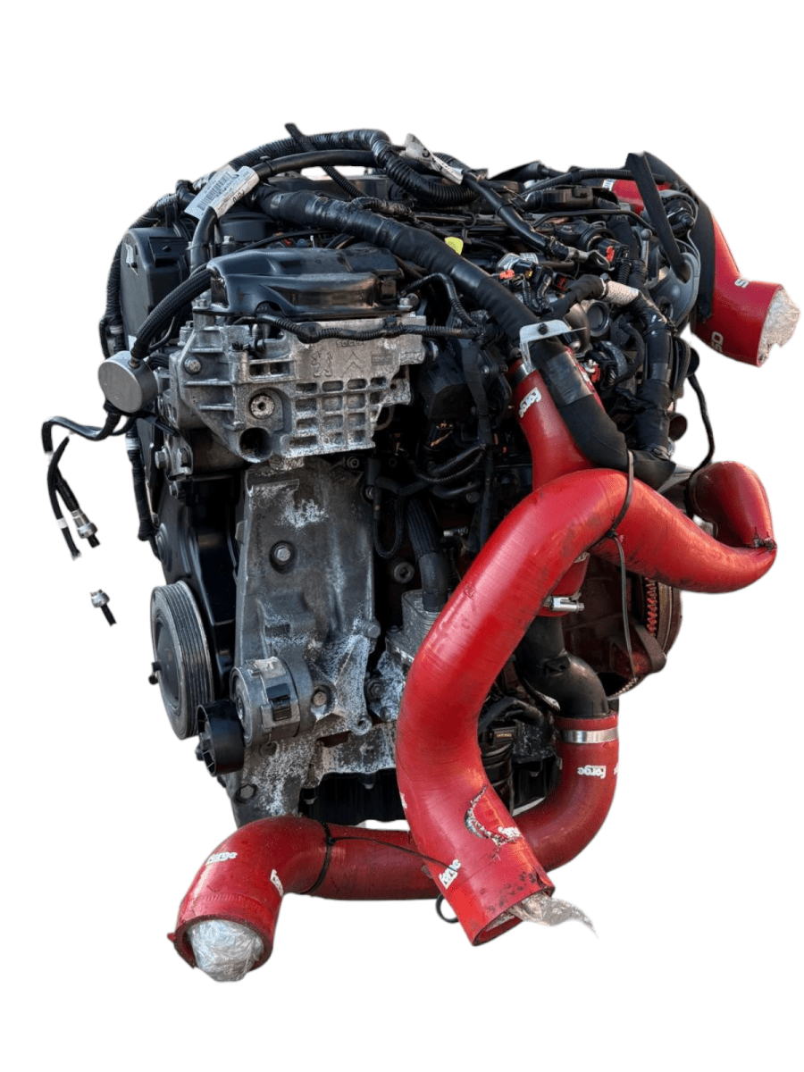 Motore Ford Focus III 2.0 Diesel 136kw 185cv cod: T8DA - F&P CRASH SRL - Ricambi Usati
