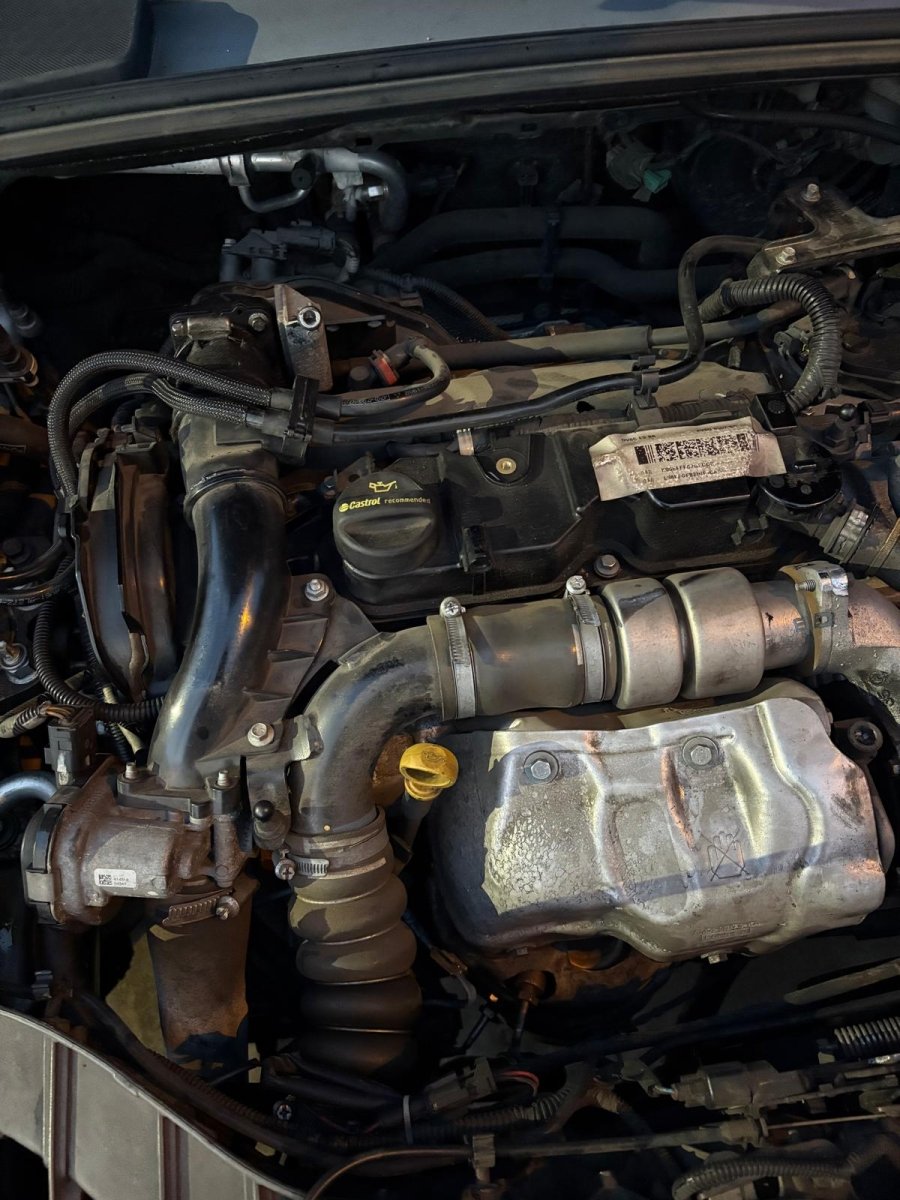 Motore Ford Focus III (2014) 1.6 Diesel 84kw 115cv cod : T1DA - F&P CRASH SRL - Ricambi Usati