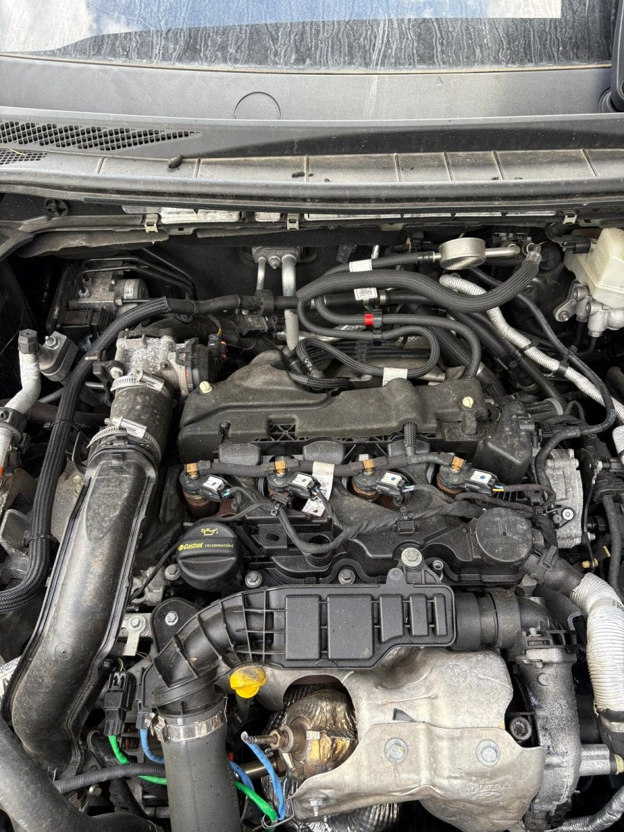 Motore Ford Kuga II 1.5 Diesel (2021) 88kw 120cv cod: ZTDA - F&amp;P CRASH SRL - Ricambi Usati
