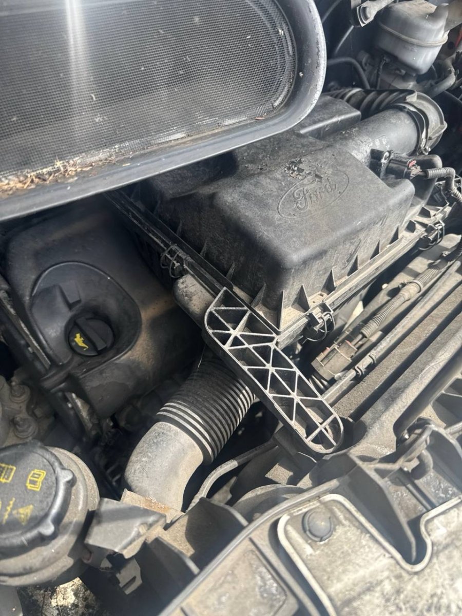 Motore Ford Transit ( 2015 ) 2.2 Diesel 92kw 125cv cod : CYF5 - F&P CRASH SRLS - Ricambi Usati