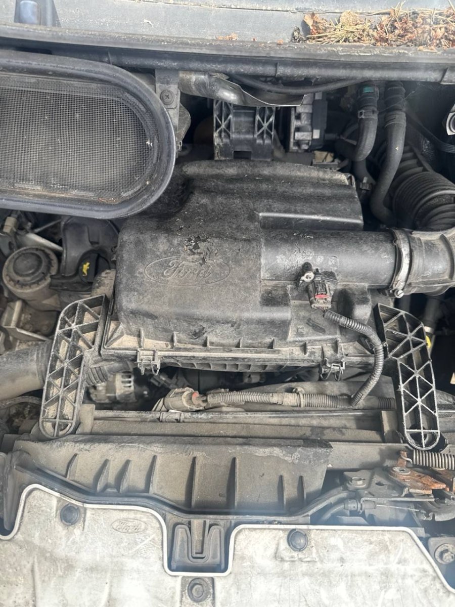 Motore Ford Transit ( 2015 ) 2.2 Diesel 92kw 125cv cod : CYF5 - F&P CRASH SRLS - Ricambi Usati