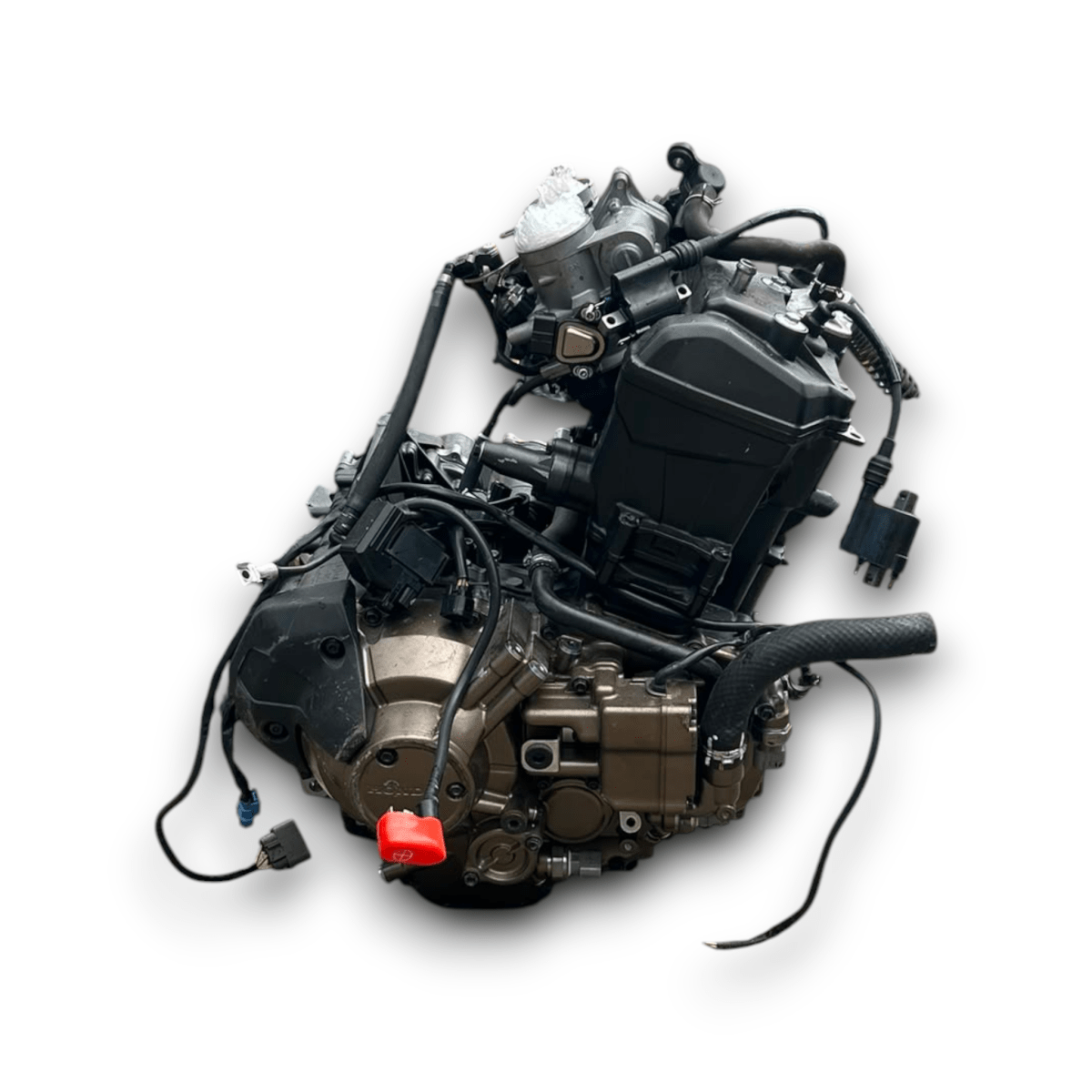 Motore honda africa twin dct es 1100 (2025) 1100 benzina 102cv 75kw cod:sd13e - F&P CRASH SRL - Ricambi Usati