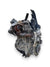 Motore Mini One D R56 ( 2012 ) 1.6 Diesel 82kw 112cv cod : N47C16A - F&P CRASH SRLS - Ricambi Usati