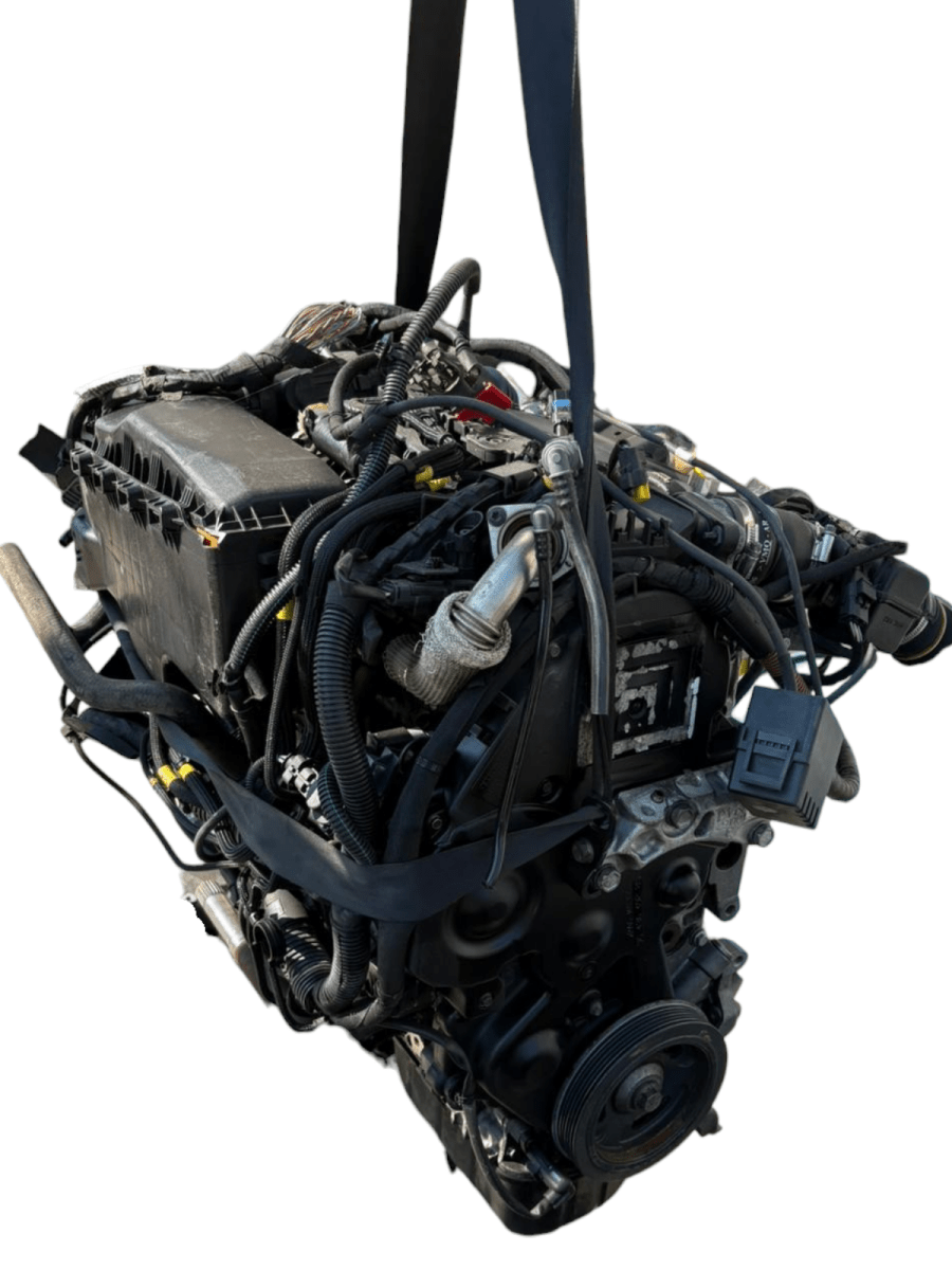 Motore Peugoet Partner 1.6 Diesel 75kw 90cv cod: 9hx - F&P CRASH SRL - Ricambi Usati