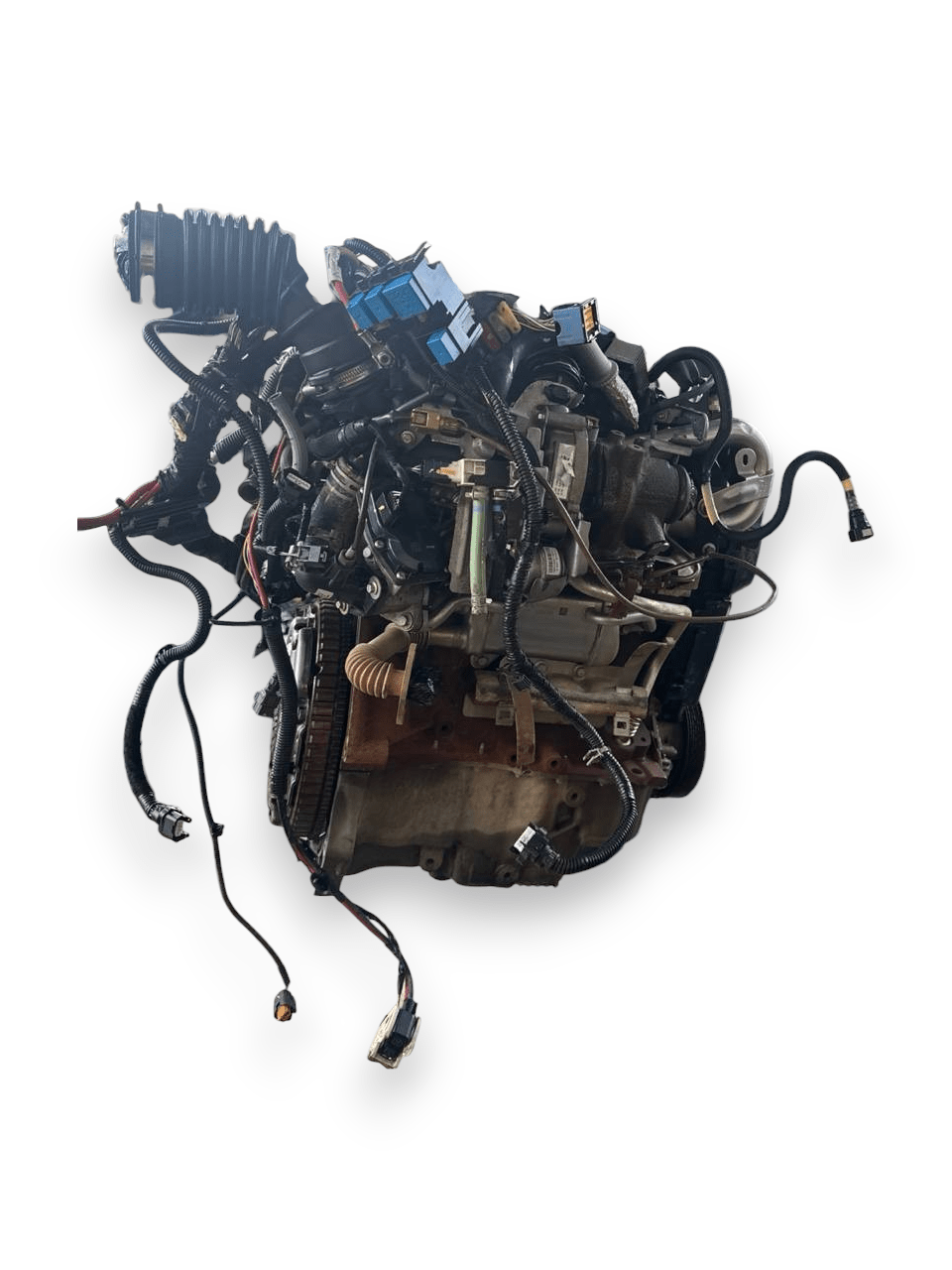 Motore Renault Clio IV ( 2016 ) 1.5 Diesel 66kw 90cv cod : K9K E6 - F&P CRASH SRLS - Ricambi Usati