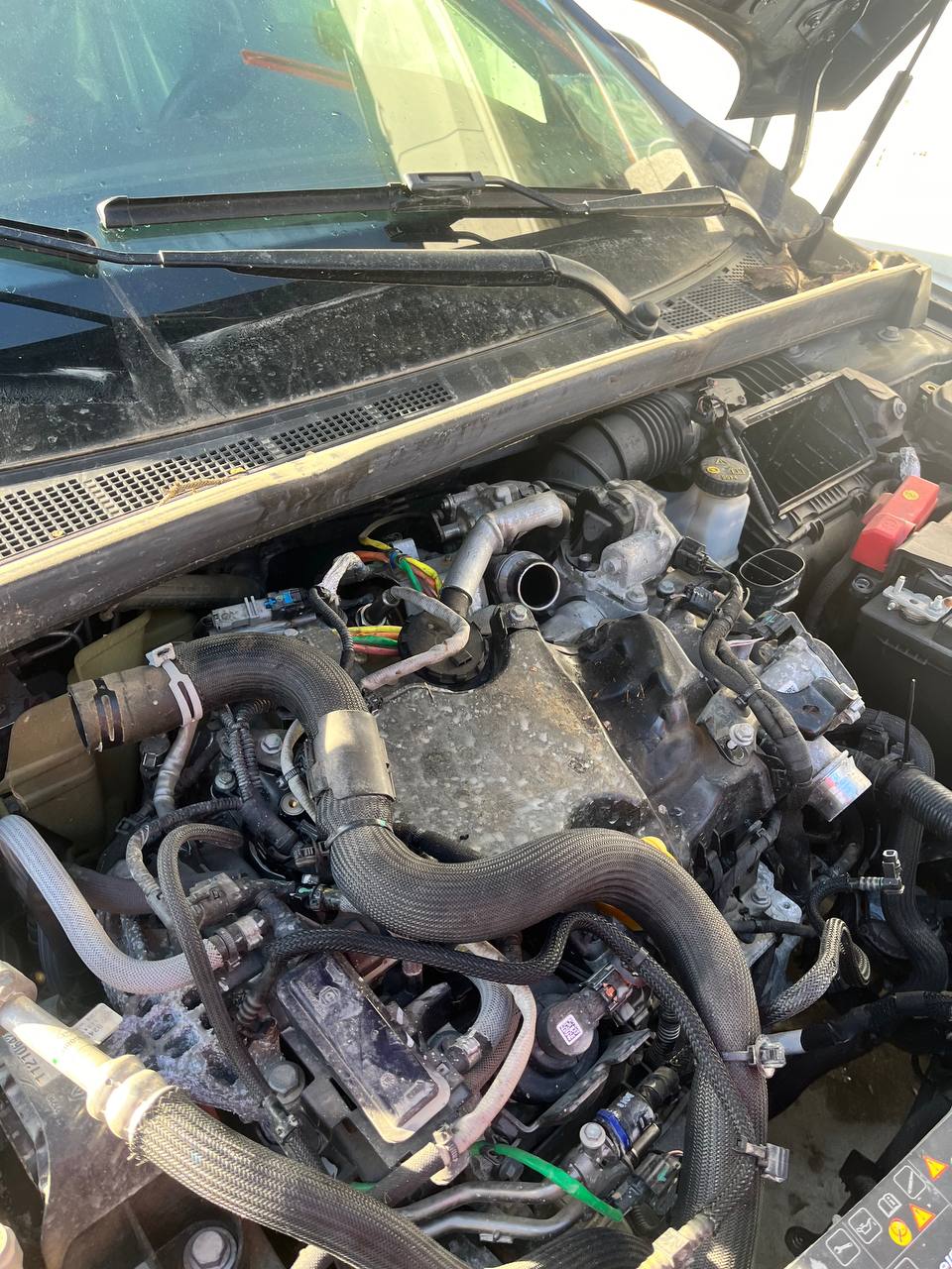 Motore Renault Megane ( 2018 ) 1.5 Diesel 85kw 115cv cod : K9K U8 - F&P CRASH SRLS - Ricambi Usati