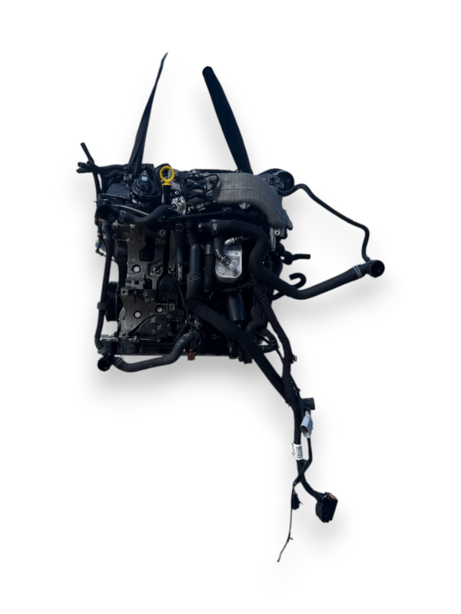 Motore Volkswagen Tiguan AD1 ( 2019 ) 2.0 Diesel 110kw 150cv cod : DTS - F&P CRASH SRLS - Ricambi Usati