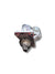 Motorino avviamento Peugeot 207 1.6 hdi (2006-2009) COD:9662854080 - F&P CRASH SRLS - Ricambi Usati