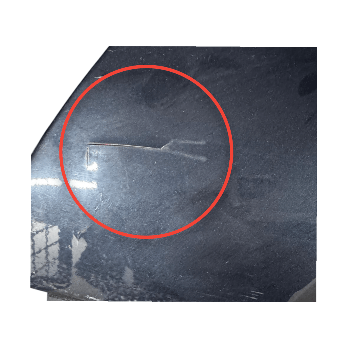 Parafango anteriore sinistro blu Audi a4 b8 (2007 > 2016) - F&P CRASH SRL - Ricambi Usati