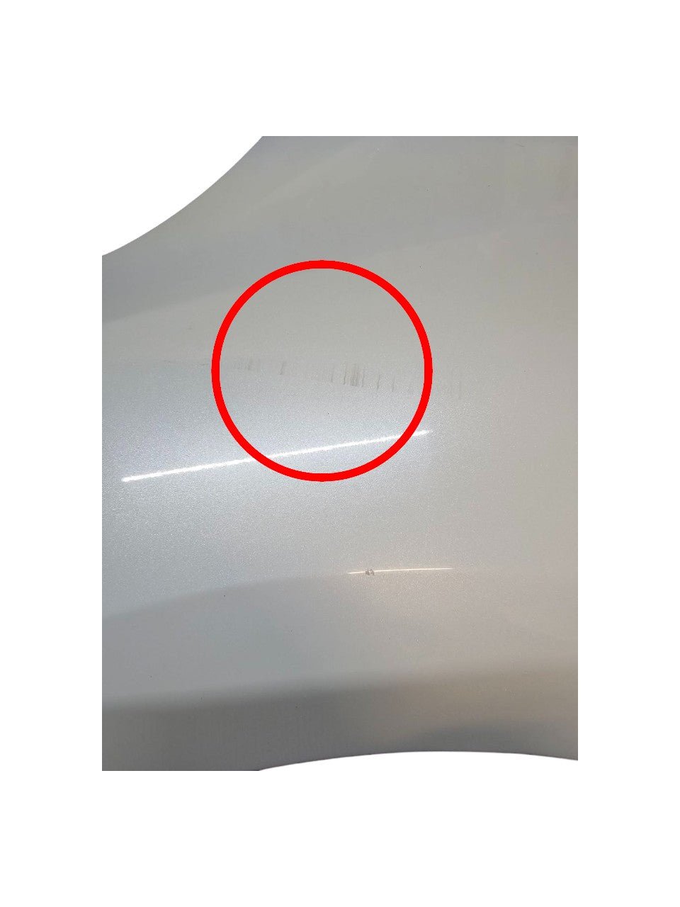 Parafango Anteriore Sinistro Honda Jazz III (2013 - 2019) - F&P CRASH SRLS - Ricambi Usati