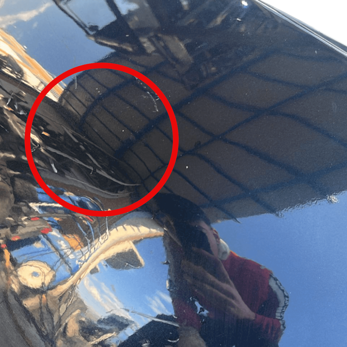 Paraurti posteriore con sensori parcheggio Toyota Auris (2012 - 2018) - F&P CRASH SRLS - Ricambi Usati