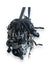 Suzuki Swift Motor (2022) 1.2 GETOLA 61KW 83CV COD: K12D Cup