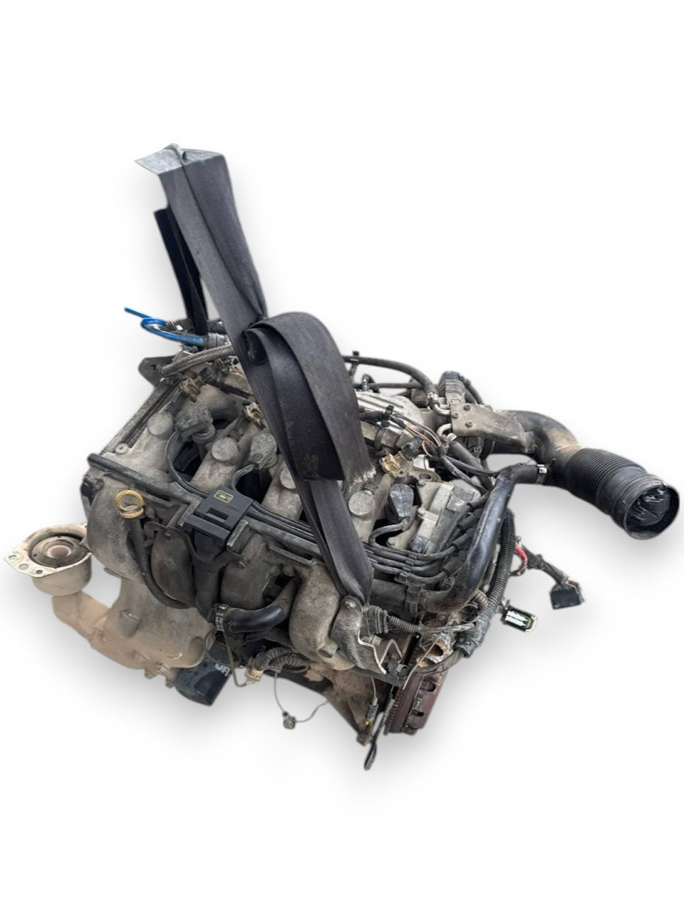 Fiat Multipla Engine (2005) 1.6 benzine 76 kW 103CV COD: 182A6000