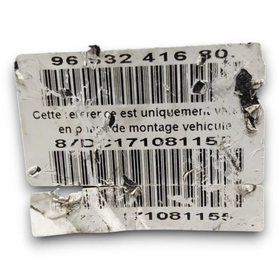 Dettaglio Pompa ABS Peugeot 307 2005–2008 cod. 0265234152 - foto 5