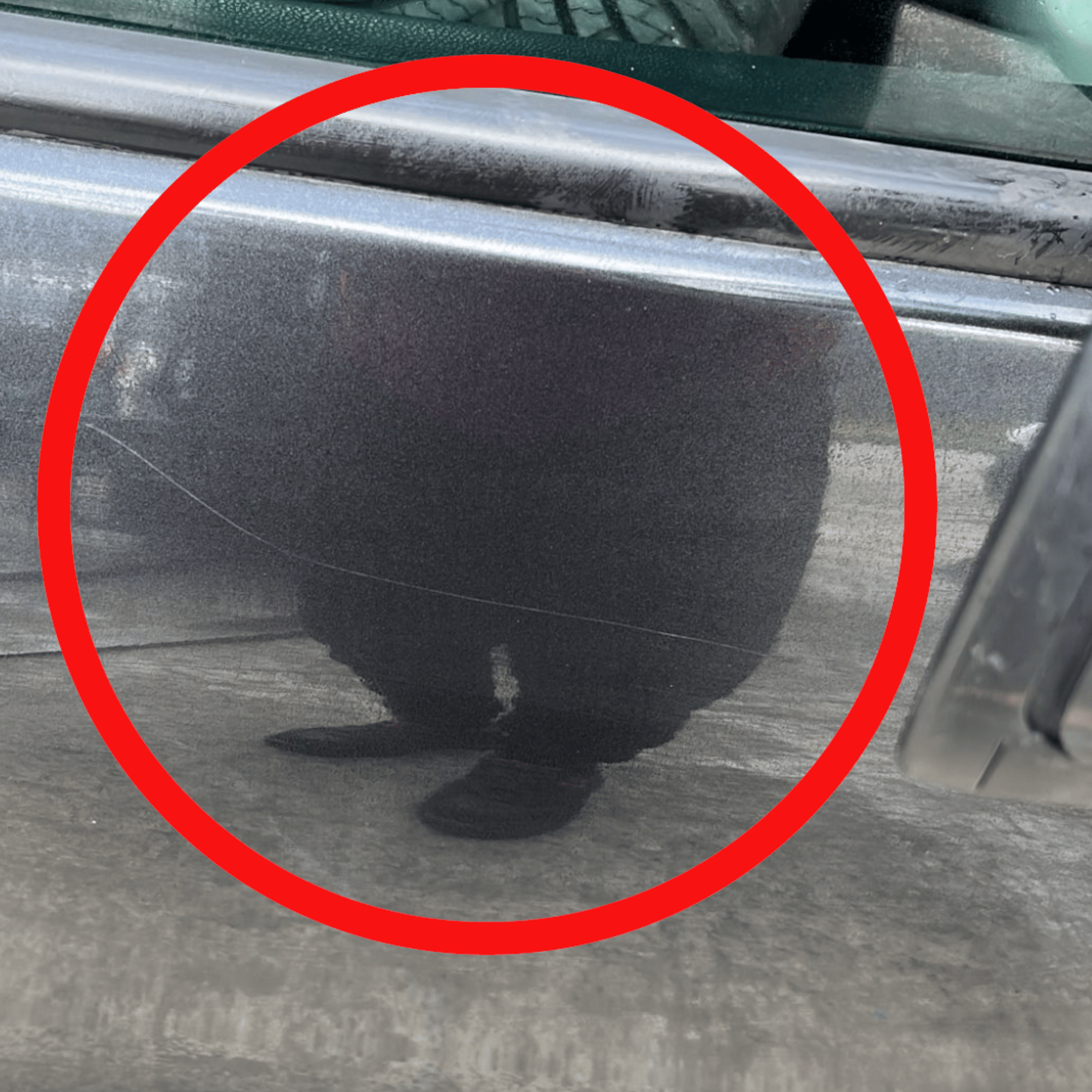 Porta / portiera / sportello anteriore destro grigio Fiat 500L (2012 - 2022) - F&P CRASH SRLS - Ricambi Usati