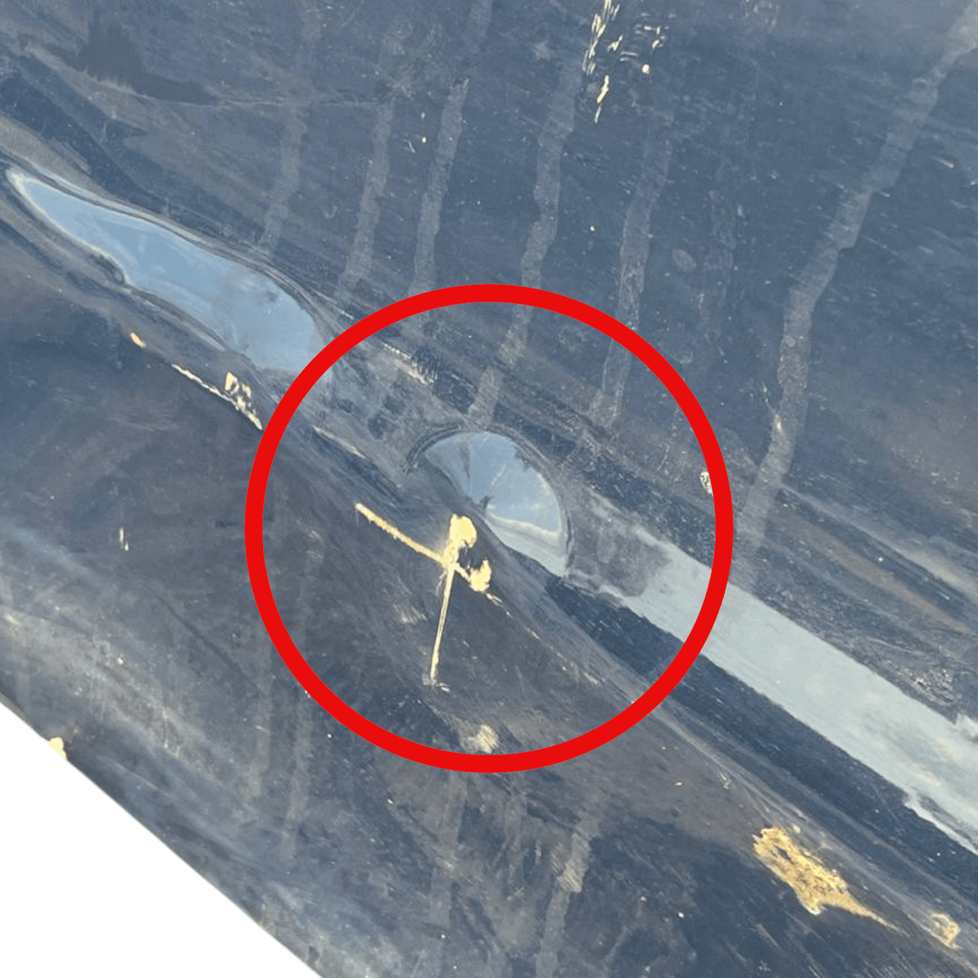 Porta / Portiera / Sportello posteriore destro Ford S - Max (2015 - 2023) - F&P CRASH SRLS - Ricambi Usati