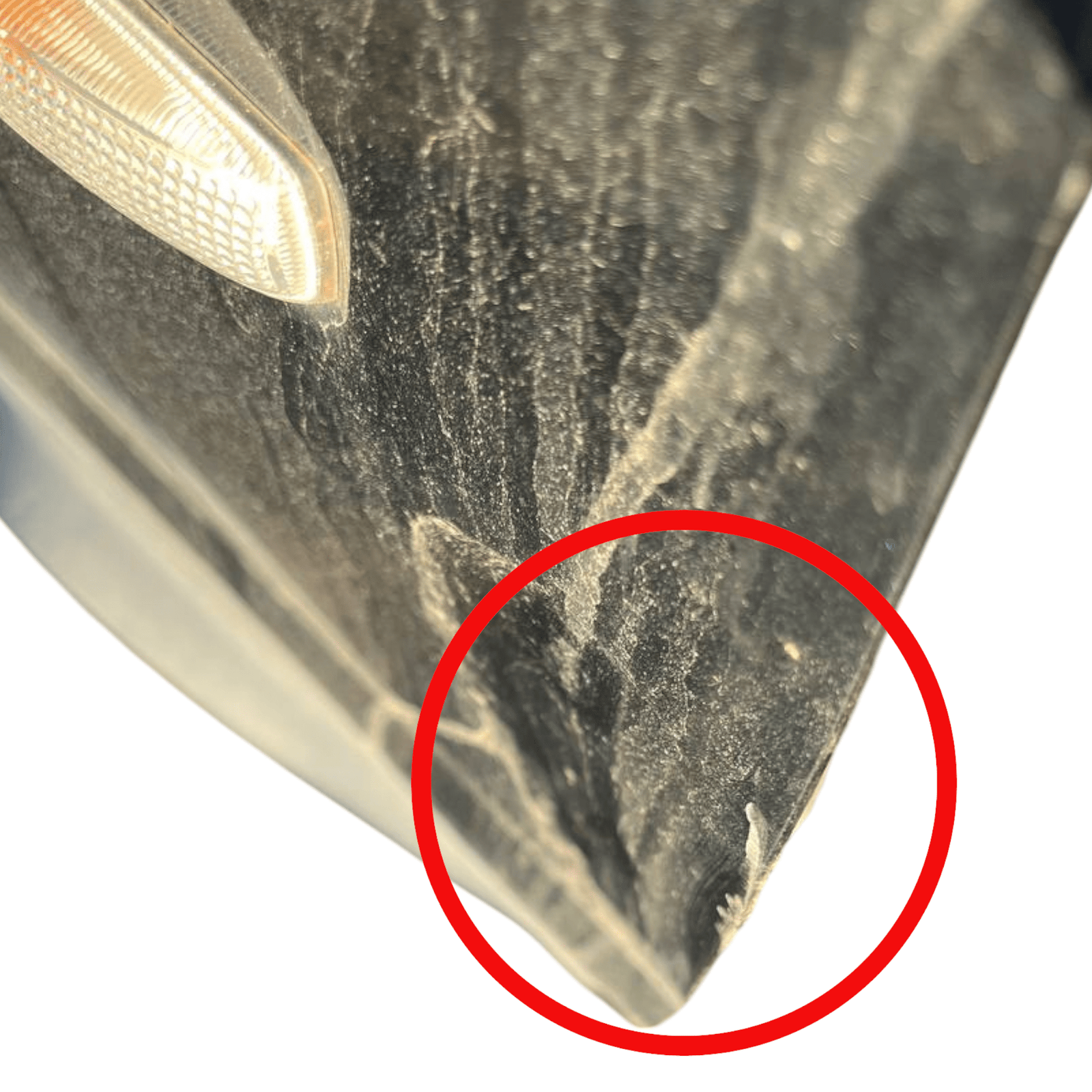 Porta / portiera / sportello posteriore destro Range Rover Sport L320 (2005 - 2012) - F&P CRASH SRLS - Ricambi Usati