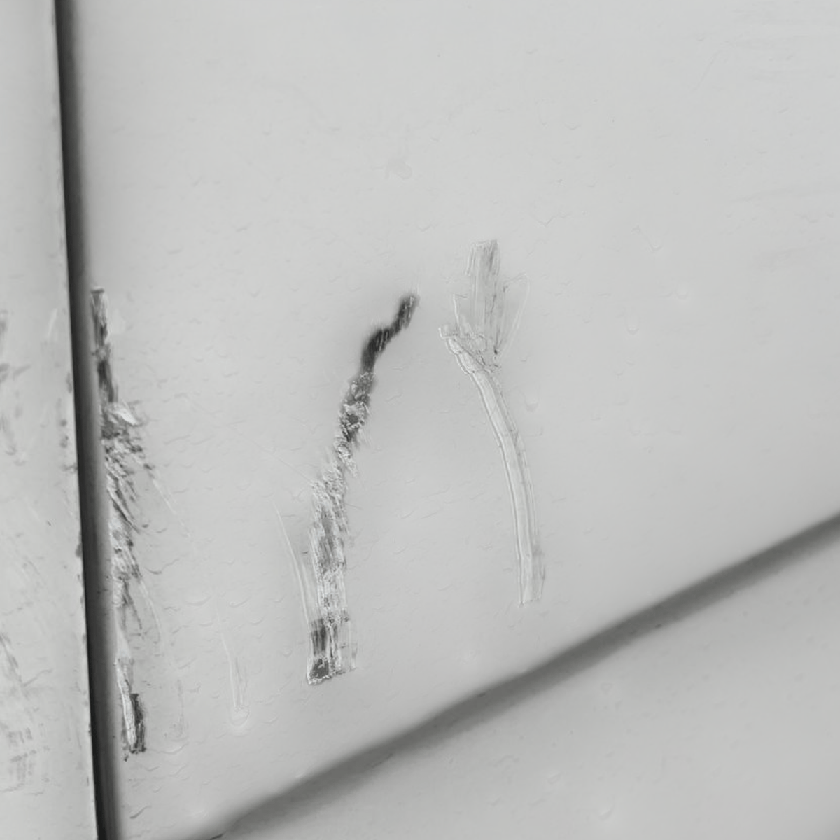 Porta / Portiera / Sportello posteriore sinistra (sx) Bianca Fiat Panda 312 (2012 - ) - F&P CRASH SRLS - Ricambi Usati