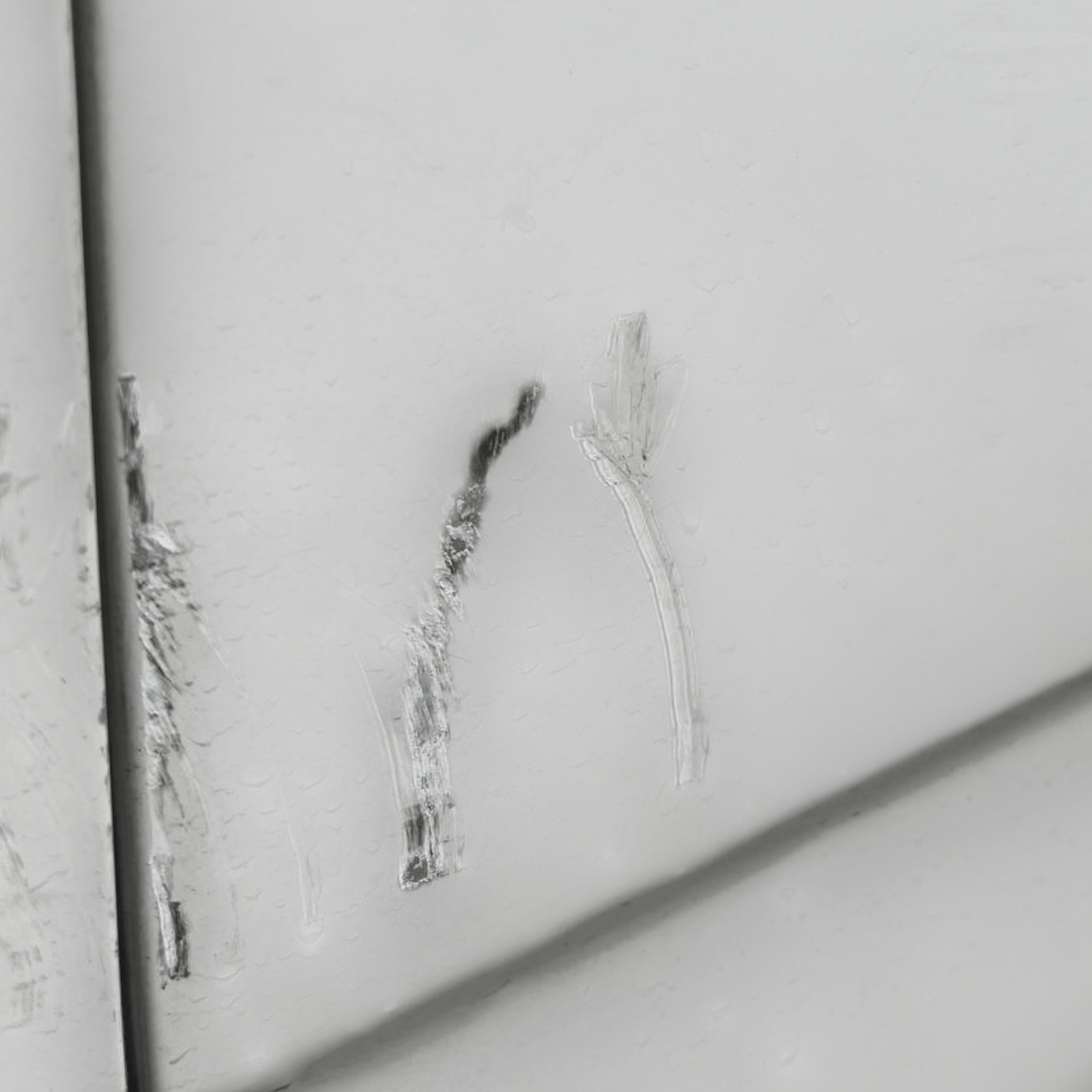 Porta / Portiera / Sportello posteriore sinistra (sx) Bianca Fiat Panda 312 (2012 - ) - F&P CRASH SRLS - Ricambi Usati