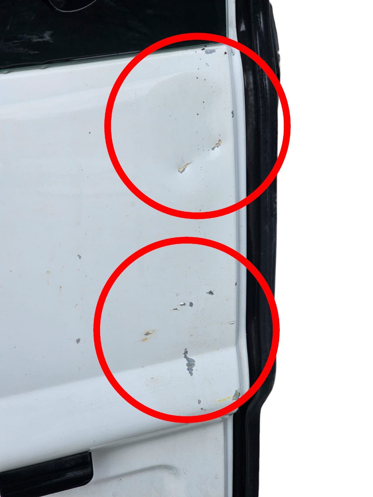 Porta / Portiera / Sportello Posteriore Sinistro Bianco Peugeot Expert II (2008 - 2016) - F&P CRASH SRLS - Ricambi Usati