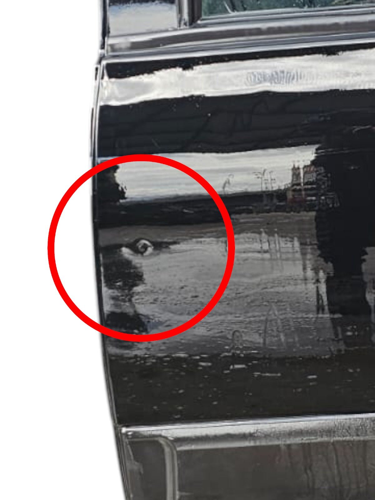 Porta / Portiera / Sportello Posteriore Sinistro Nero Fiat Panda 312 (2012 - >E) - F&P CRASH SRLS - Ricambi Usati