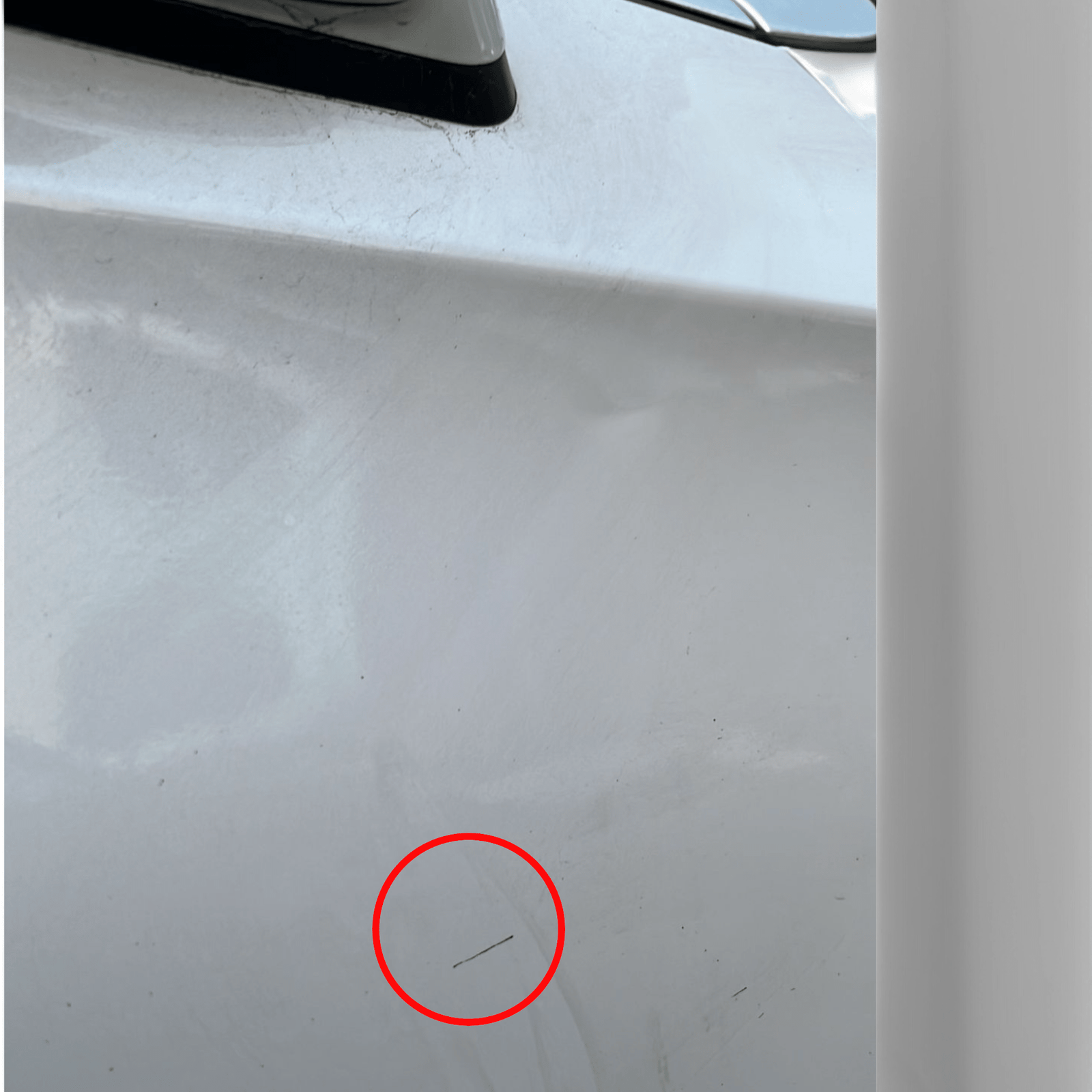 Porta / posteriore / sportello anteriore destro bianco DS4 (2011 - 2018) - F&P CRASH SRLS - Ricambi Usati